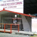 Carlos Pellicer Cámara