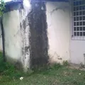 Graciela Mendoza de Jesús