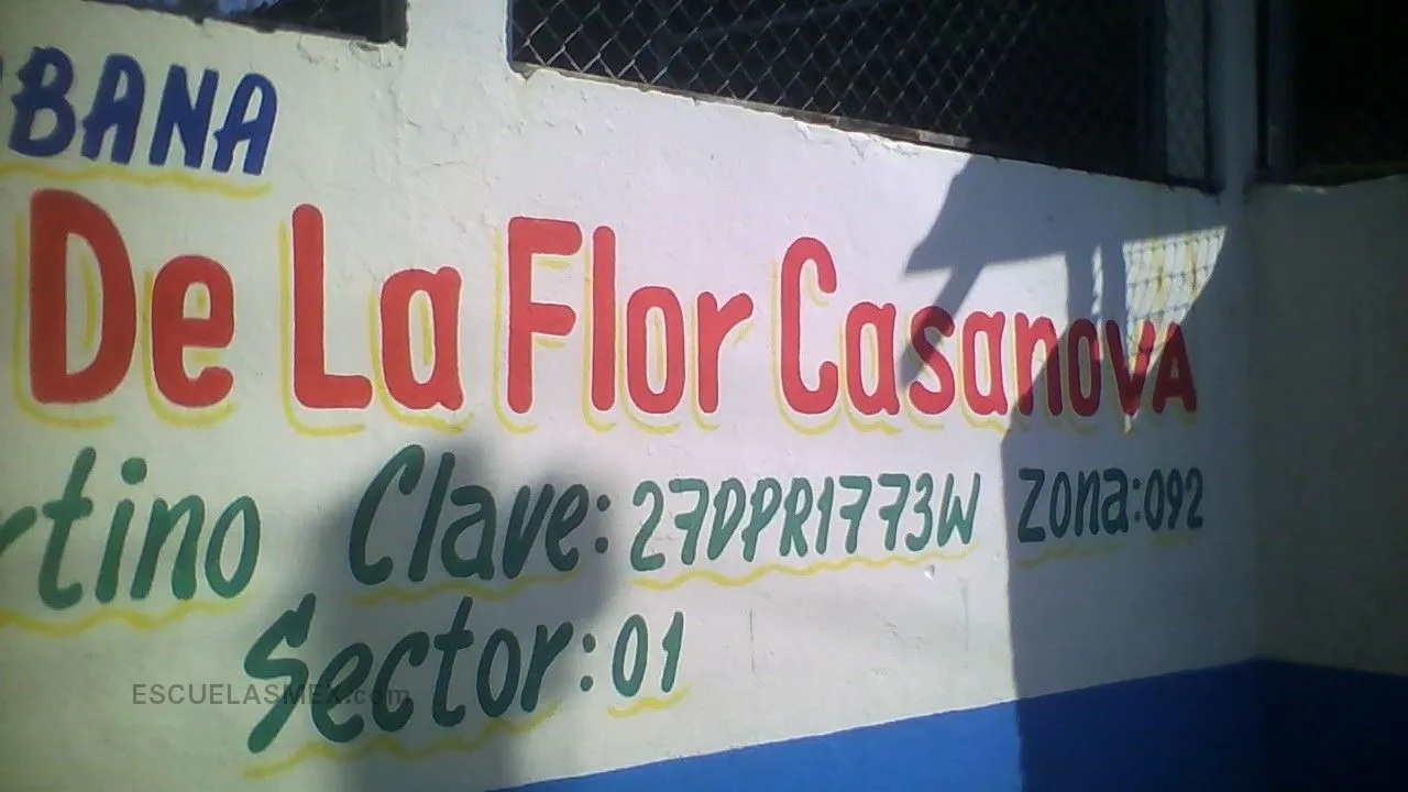 Noé de la Flor Casanova Entrada