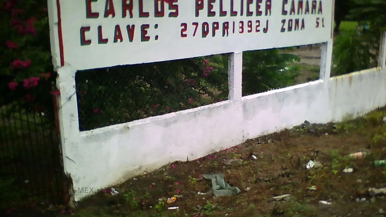 Carlos Pellicer Camara Entrada
