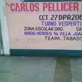 Carlos Pellicer Camara
