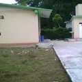 Francisco Villa