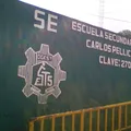 Carlos Pellicer Camara