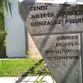 Cai Dif Julieta Campos de González Pedrero