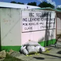 Ing. Leandro Rovirosa Wade