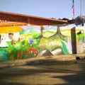 Rosa Aurora Calcaneo de Leon