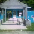Jean Piaget