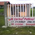 Carlos Pellicer Cámara