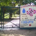 Padre de la Patria