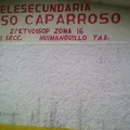 Alfonso Caparroso