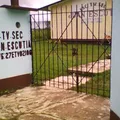 Juan Escutia
