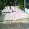 Luis Donaldo Colosio Murrieta