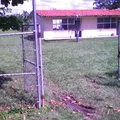 Luis Donaldo Colosio Murrieta