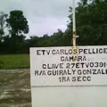 Carlos Pellicer Camara