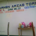 Carmen Arias Torres
