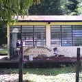 Preescolar Comunitario Indigena