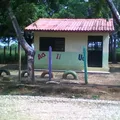 Preescolar Comunitario