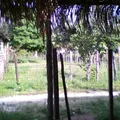 Preescolar Comunitario