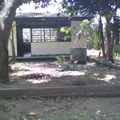 Primaria Comunitaria