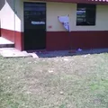Cursos Comunitarios