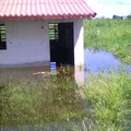 Primaria Comunitaria