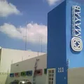 Montessori Mayab