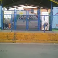Lic. Luis Donaldo Colosio Murrieta