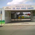Ruy Perez Tamayo
