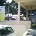 Tamaholipa