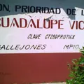 Guadalupe Victoria