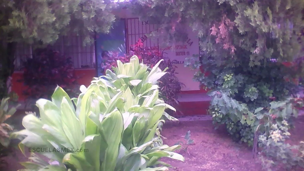 Guadalupe Victoria Entrada
