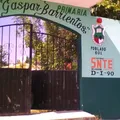 Prof. Gaspar Barrientos