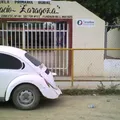 Ignacio Zaragoza
