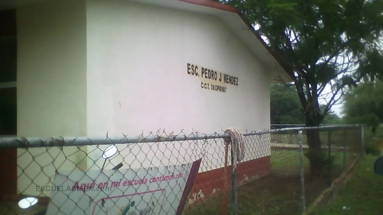 Pedro J. Mendez Entrada