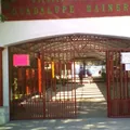 Guadalupe Mainero