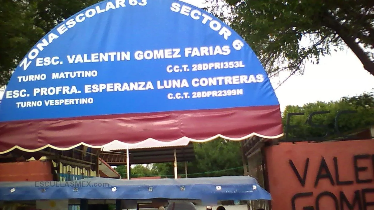 Valentin Gomez Farias Entrada