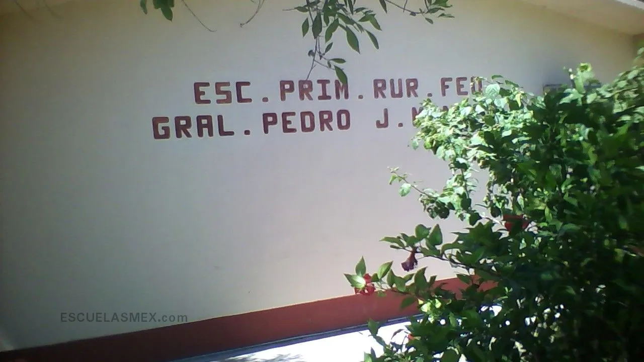 Gral. Pedro J. Mendez Entrada