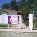 Prof. Candelario Garza Cantu