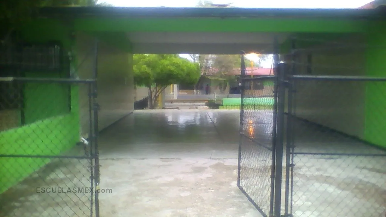 Profa. Dora Gallegos Escalante Entrada