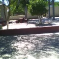 Plutarco Elias Calles