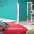 Guadalupe Mainero