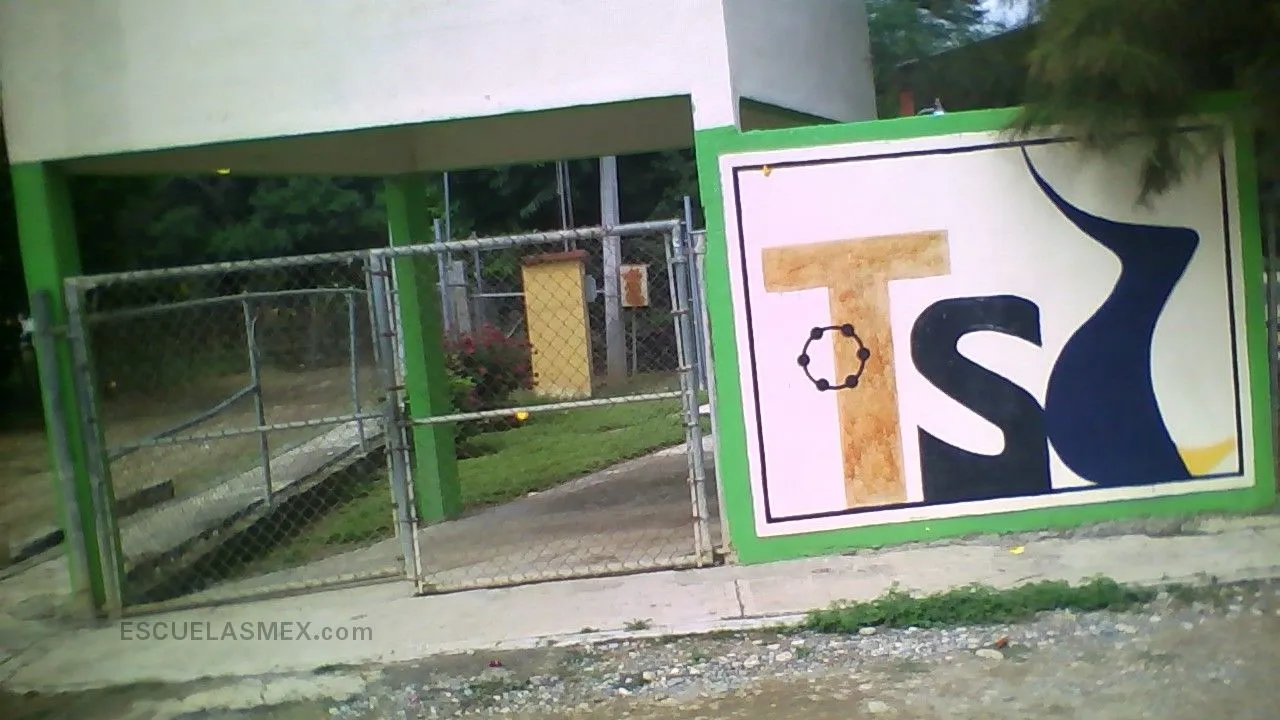 Jose Silva Sanchez Entrada