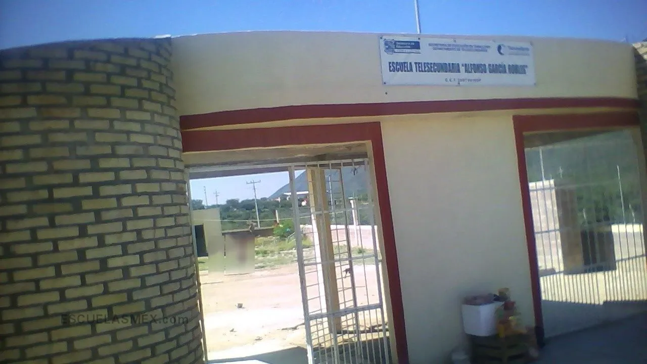 Alfonso Garcia Robles Entrada