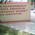 Prof. Sebastian Cardenas Vazquez