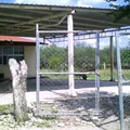 Prof. Jerges Rodriguez Zarate