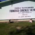 Prof. Francisco Gonzalez Reynoso
