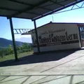 Lic. Manuel Cavazos Lerma