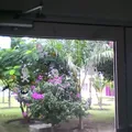 Centro de Asistencia Infantil Comunitario