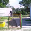 Preescolar Comunitario Rural