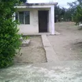 Primaria Comunitaria Rural